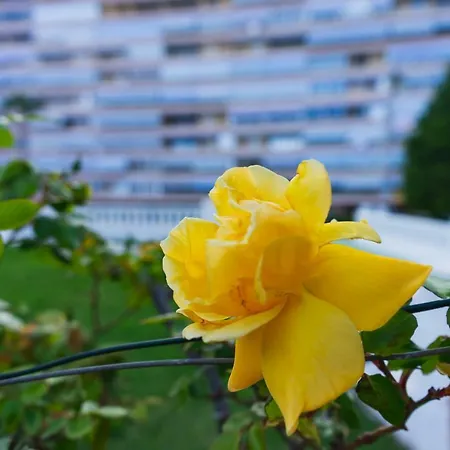 Beach & Urban Playa San Juan Appartement